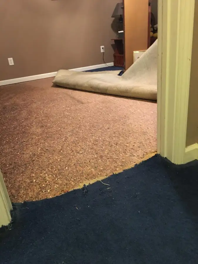Carpet pad removal revealing water damage during Drying & Dehumidification in Mayfield Heights