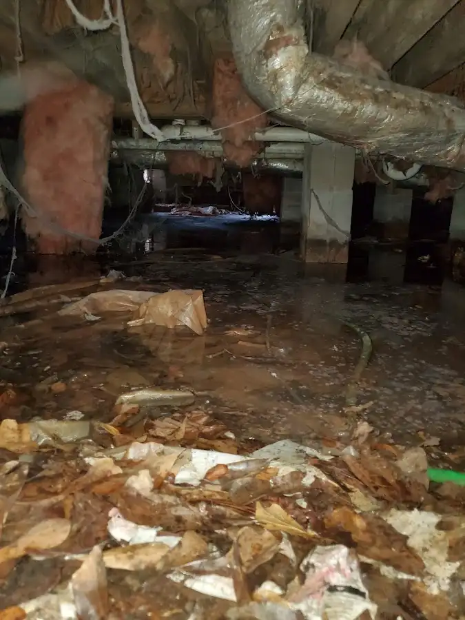 Crawl space flood assessment for Leak Detection & Repair in Mayfield Heights